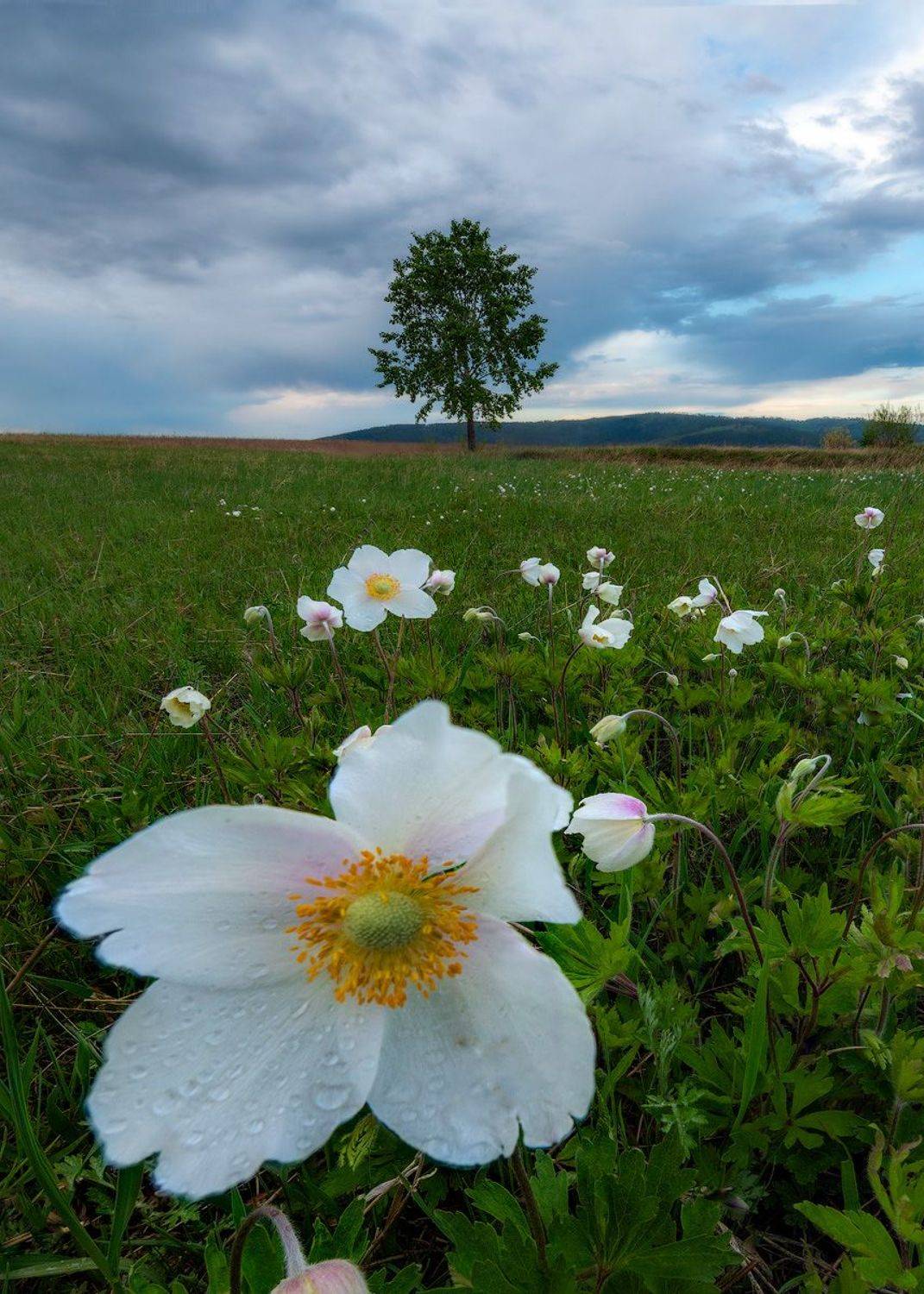 , Сергей Брагин
