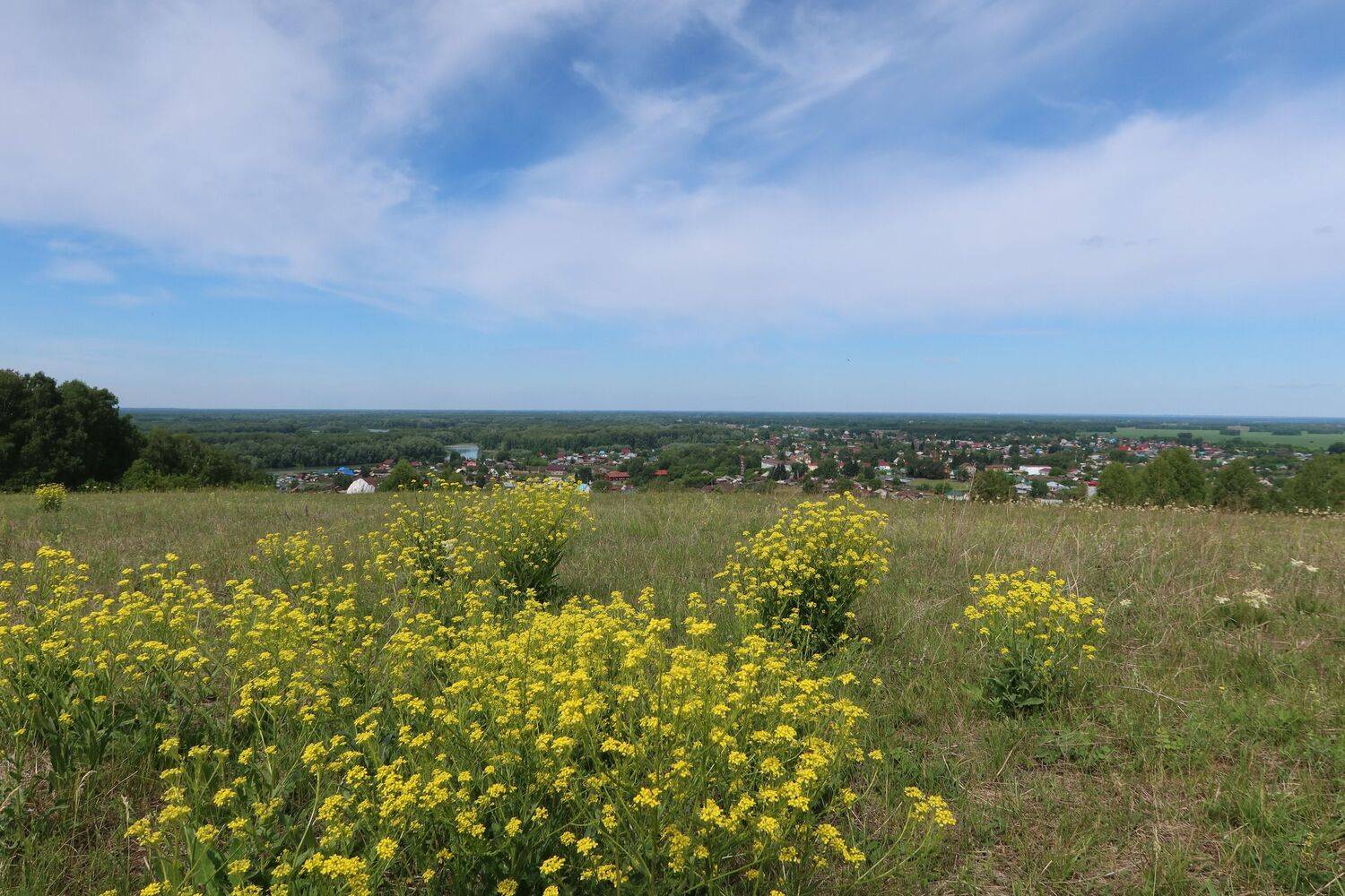 пейзаж,алтай.сростки,лето,цветы, Козлова Галина