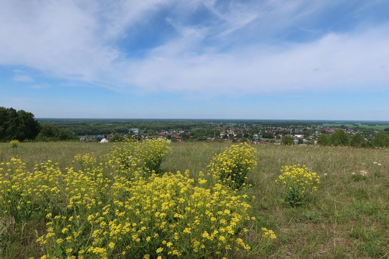 пейзаж,алтай.сростки,лето,цветы Сростки фото превью