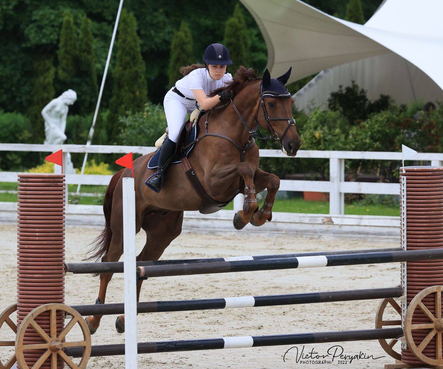 , Виктор Перякин