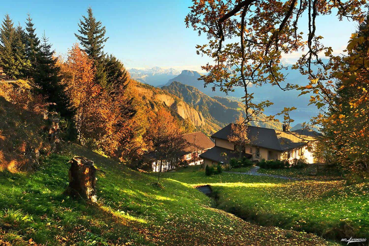 swiss, Матвеев Николай