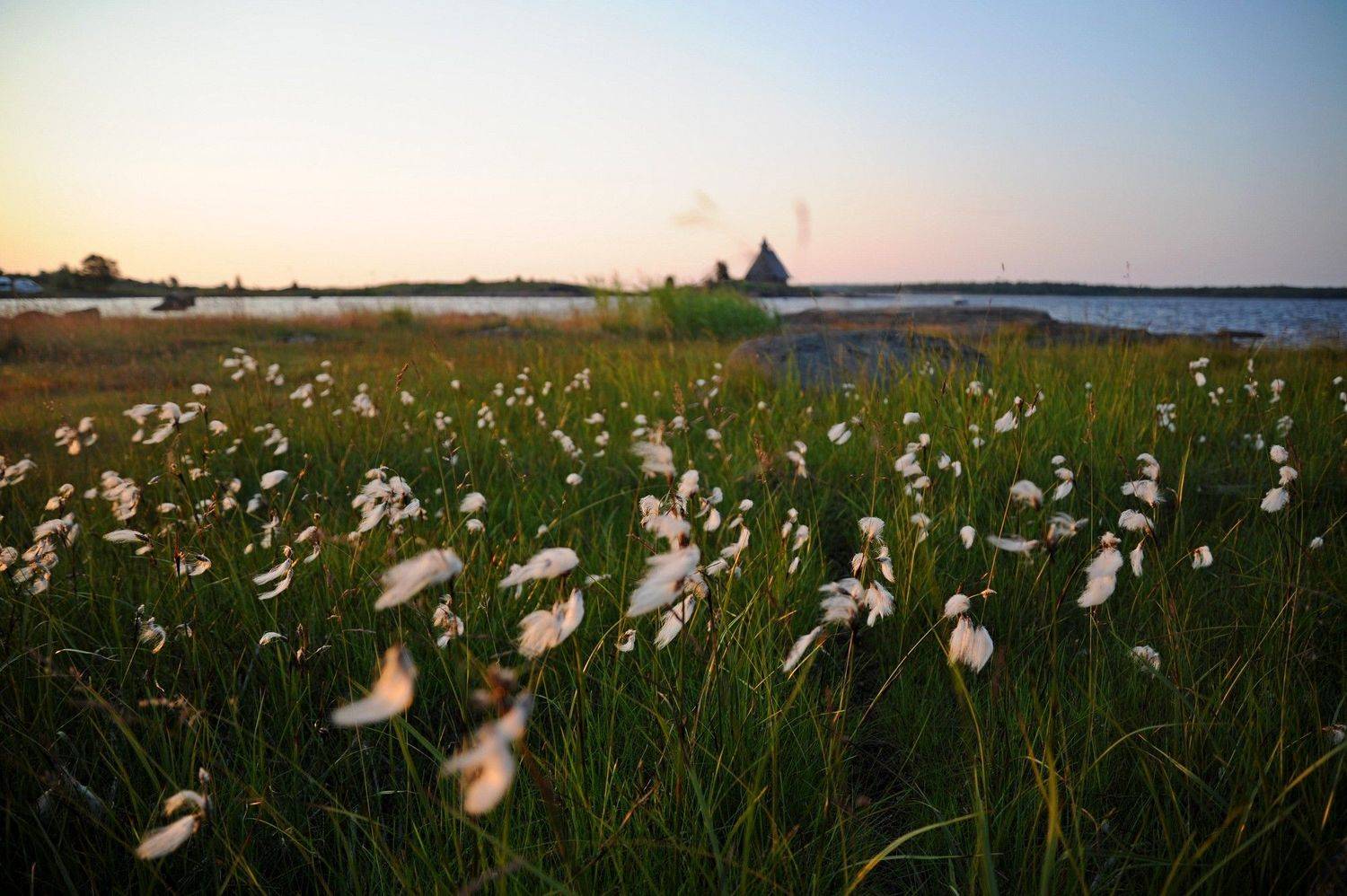 , Дарья Васильева