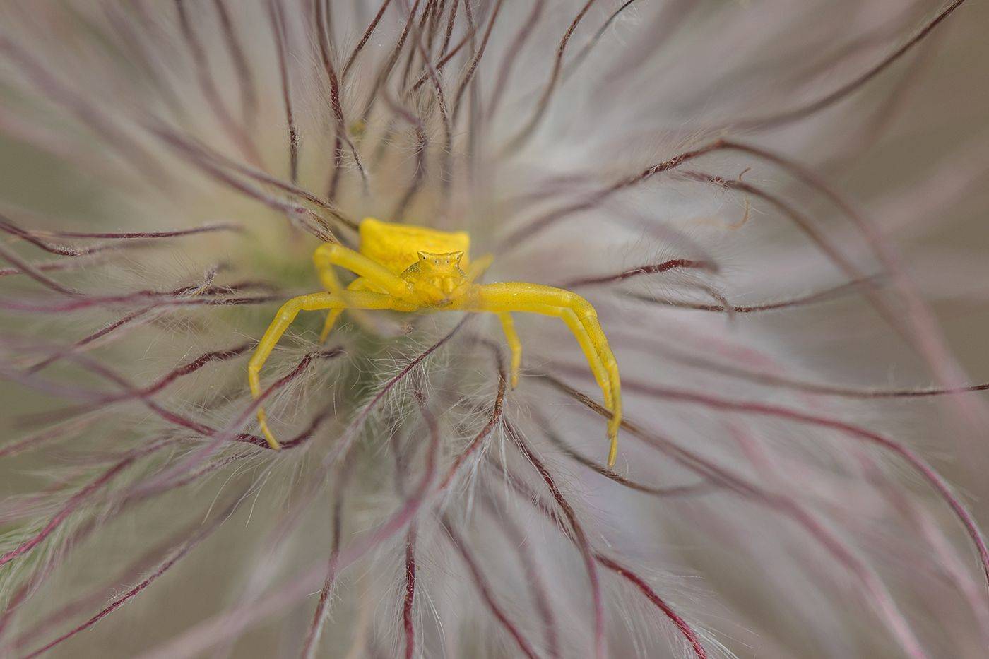 , Илья Михеев