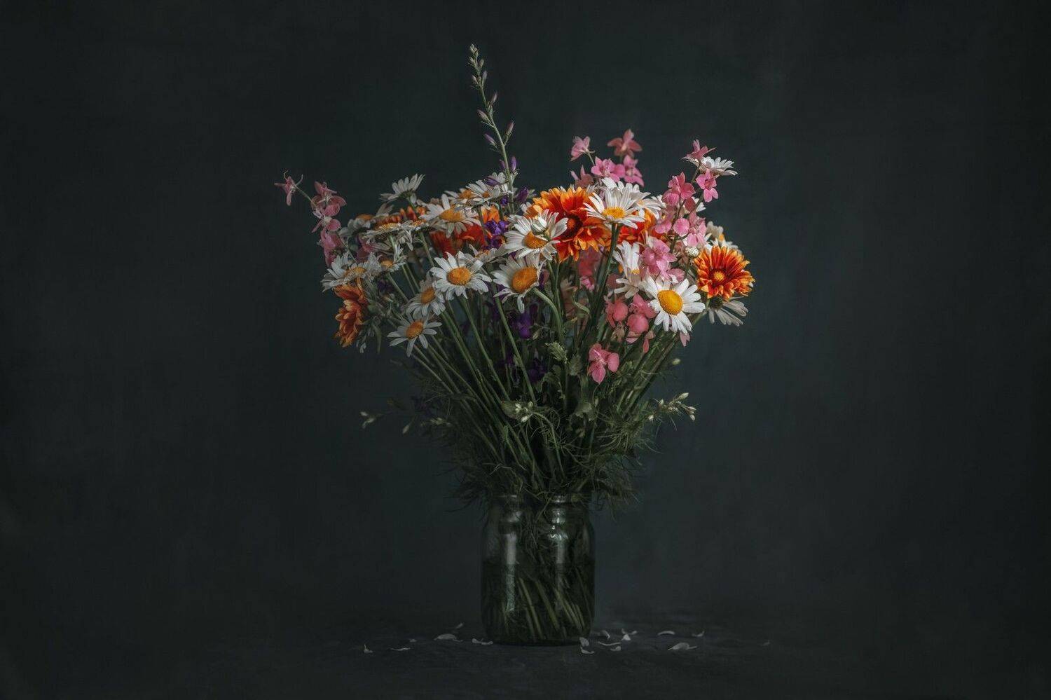 , Евневич Сергей