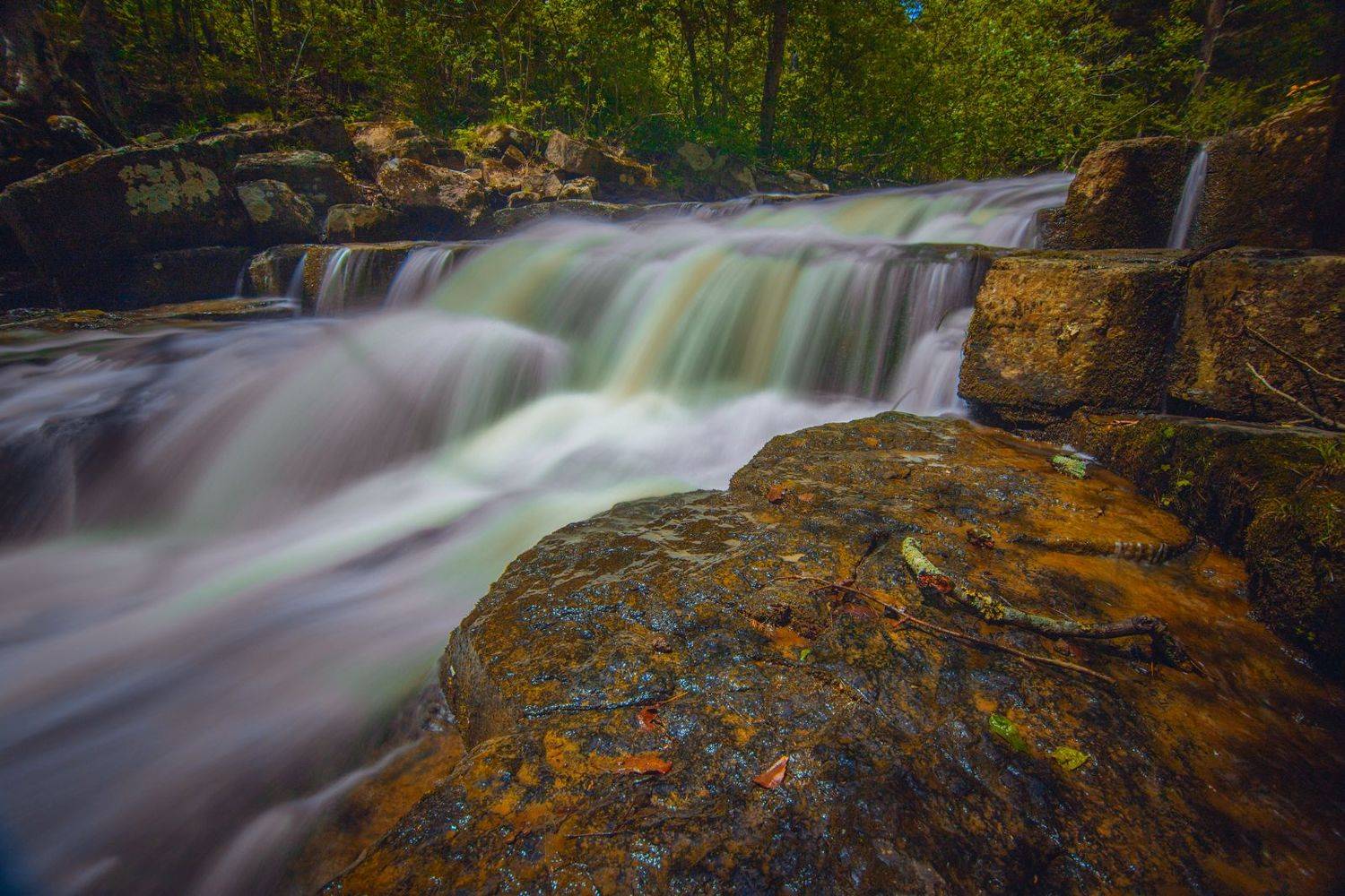 , Сигида Дмитрий