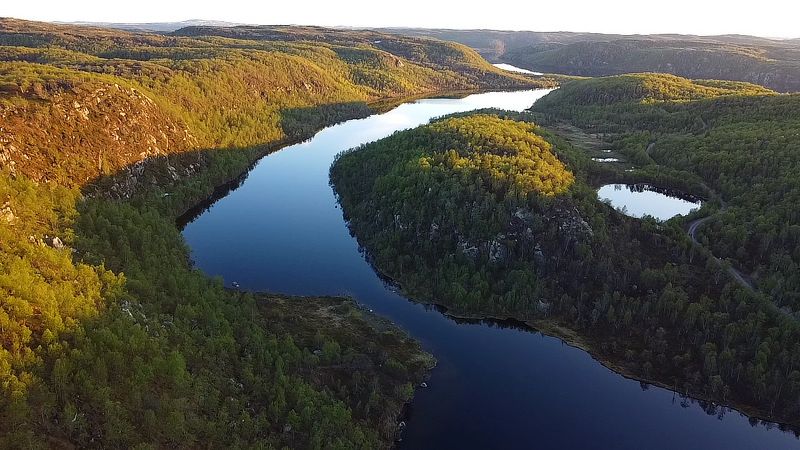 север, лето, квадрокоптер, озеро С высоты птичьего полёта фото превью