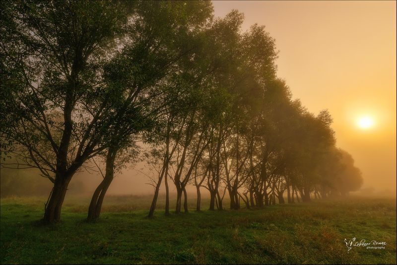 * * * фото превью