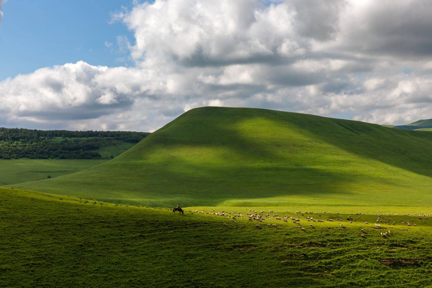 кавказ, Евгения Чех