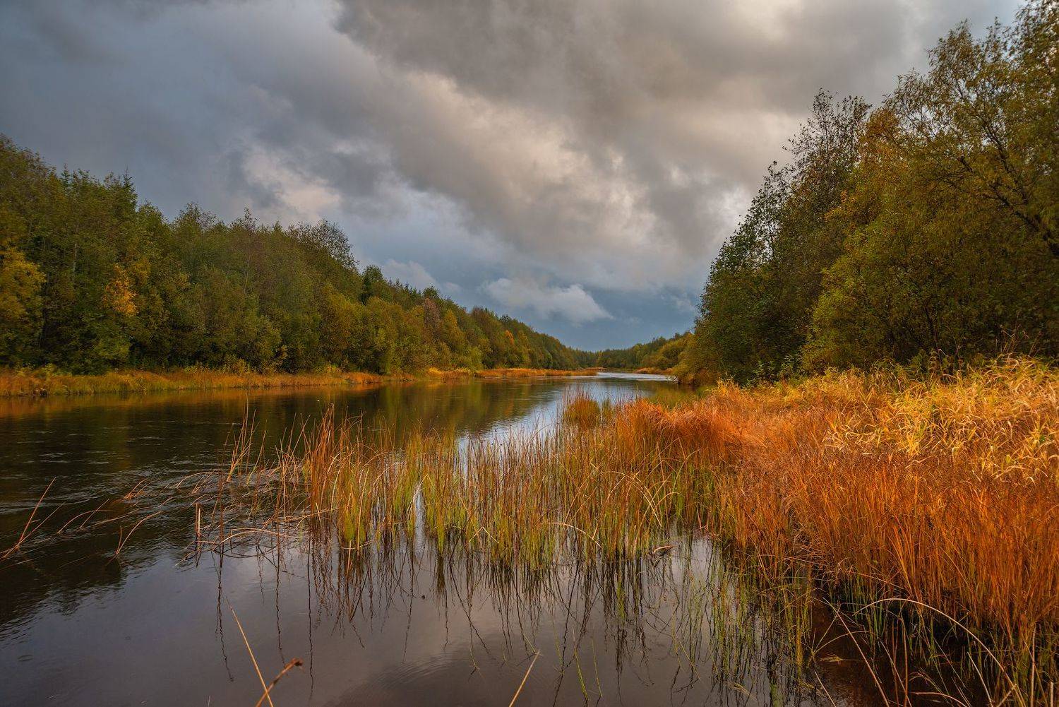 великий двор,вологодчина,кема,север, Роман Горячий