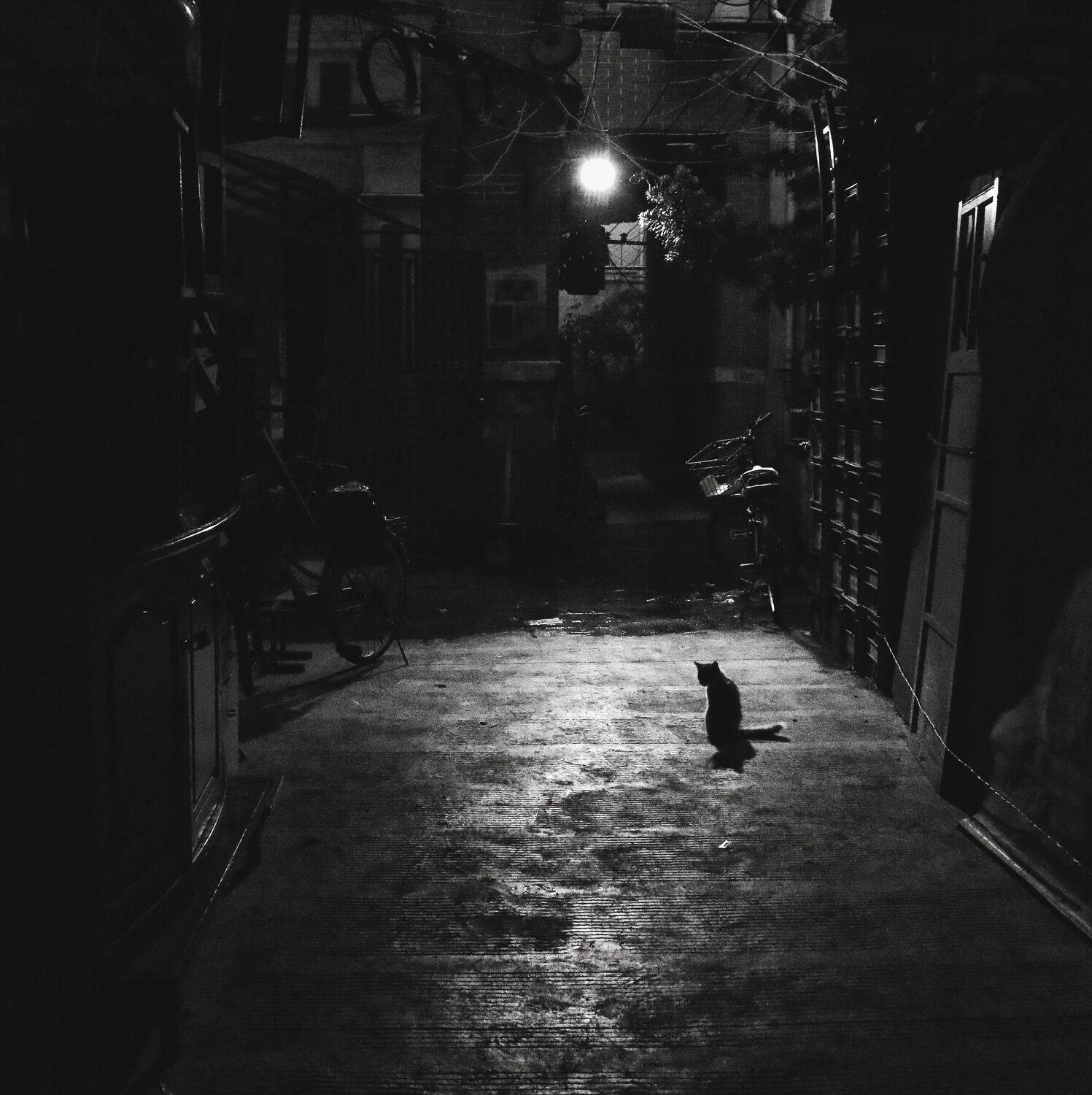 , Елена Лаврова