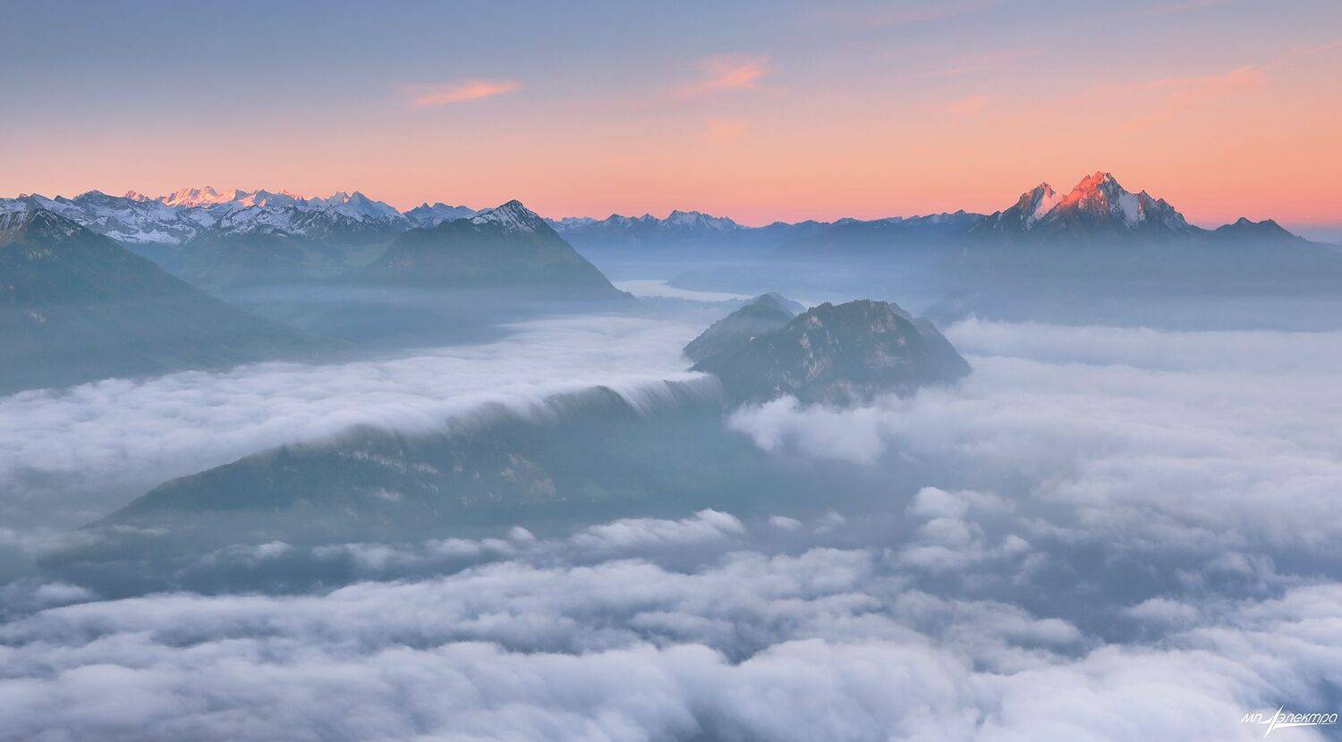 swiss, Матвеев Николай