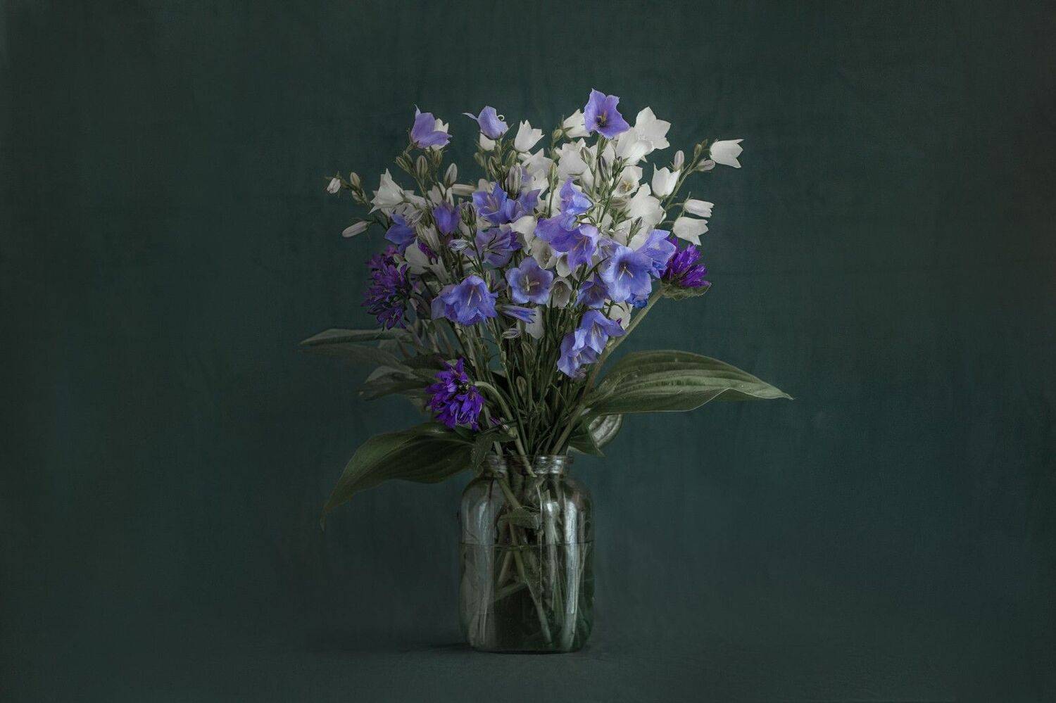 , Евневич Сергей