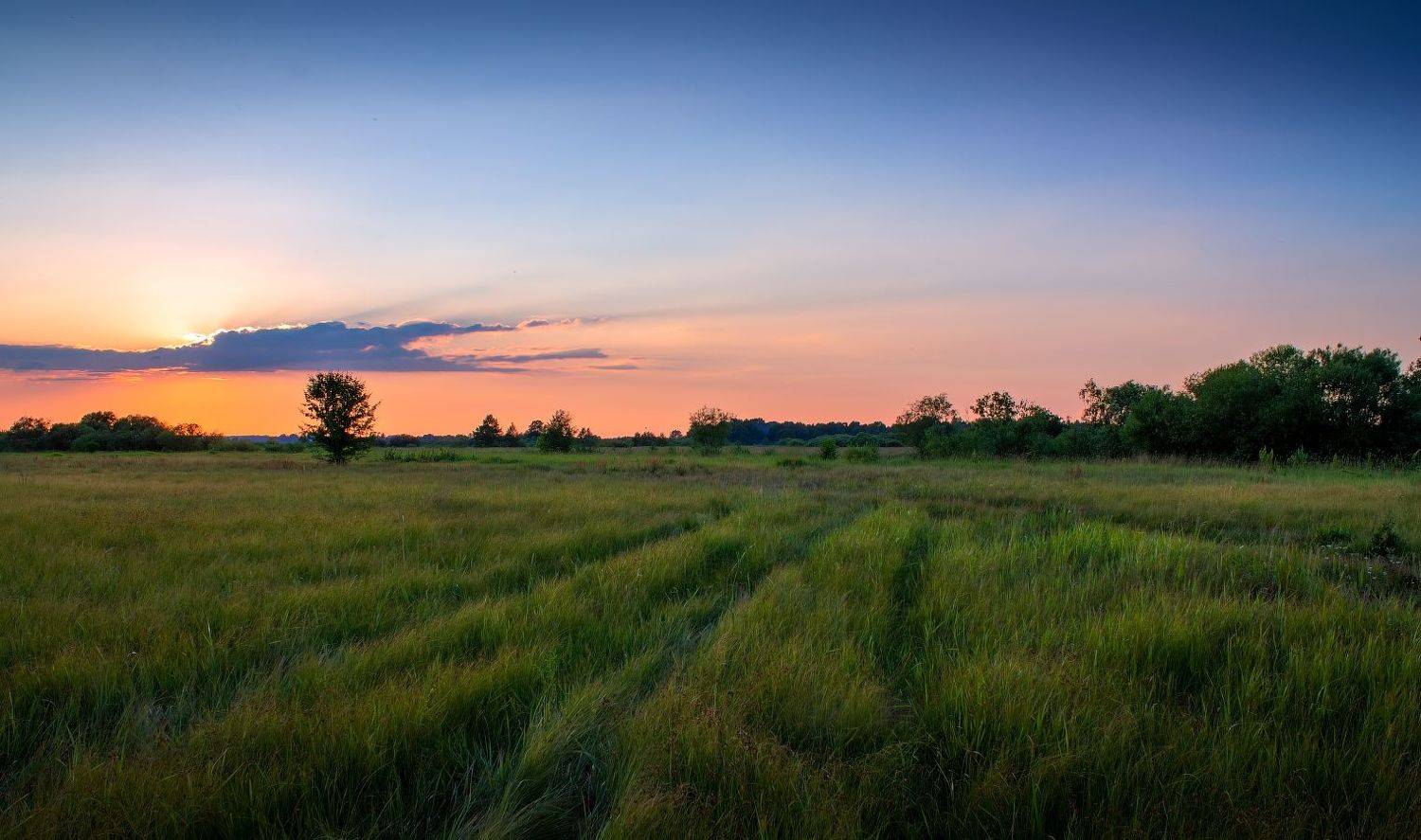 лето, вечер,, Сергей Шабуневич