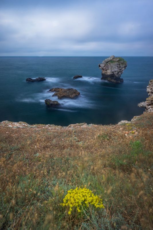 nature landscapes sea vertical black sea  фото превью