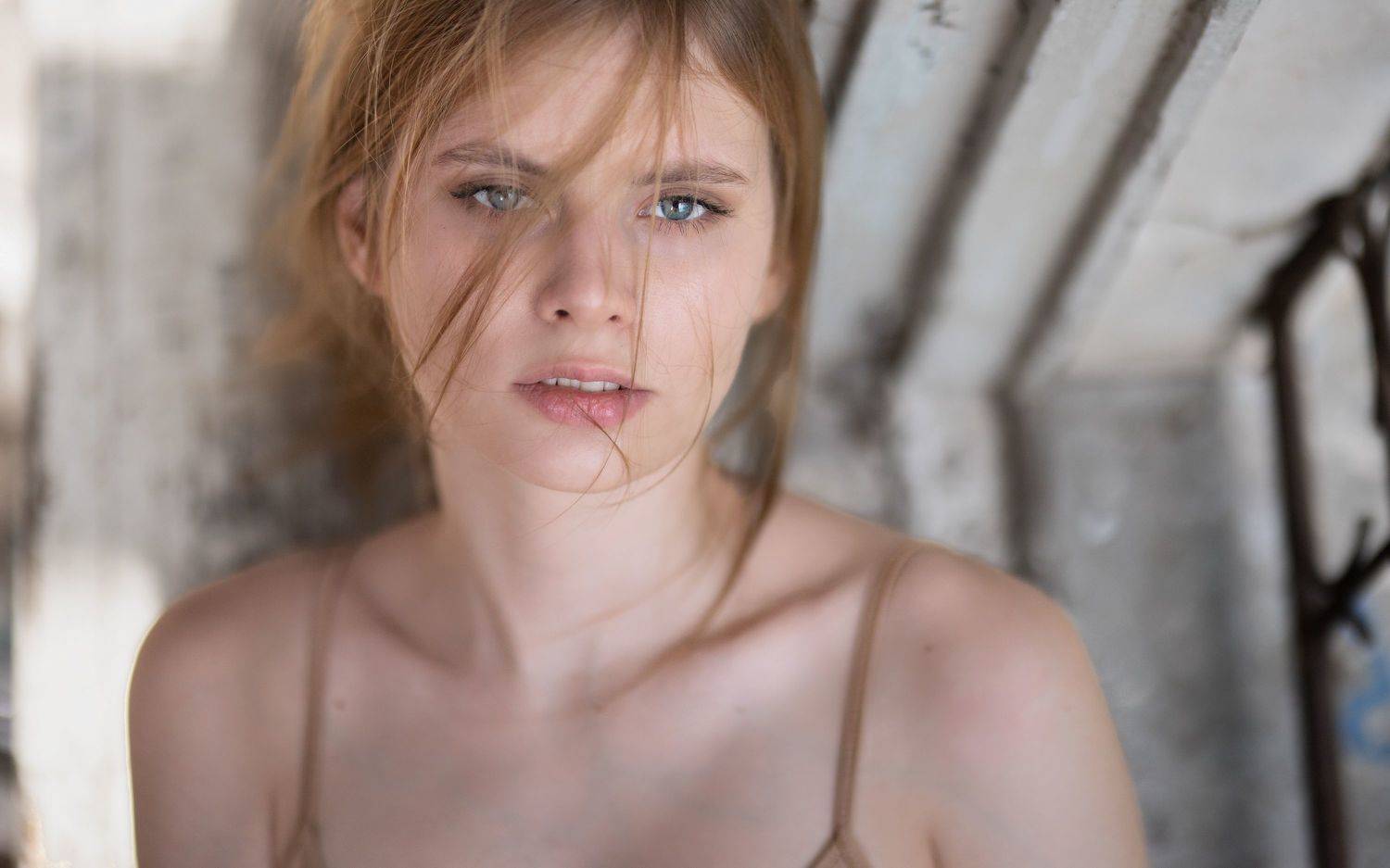 , Нестеренко Александр