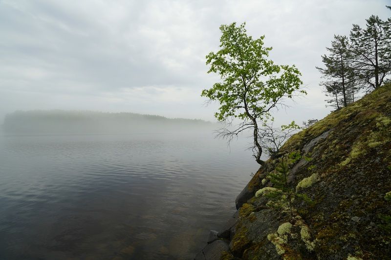 landscape, nature Lauvatsaari фото превью