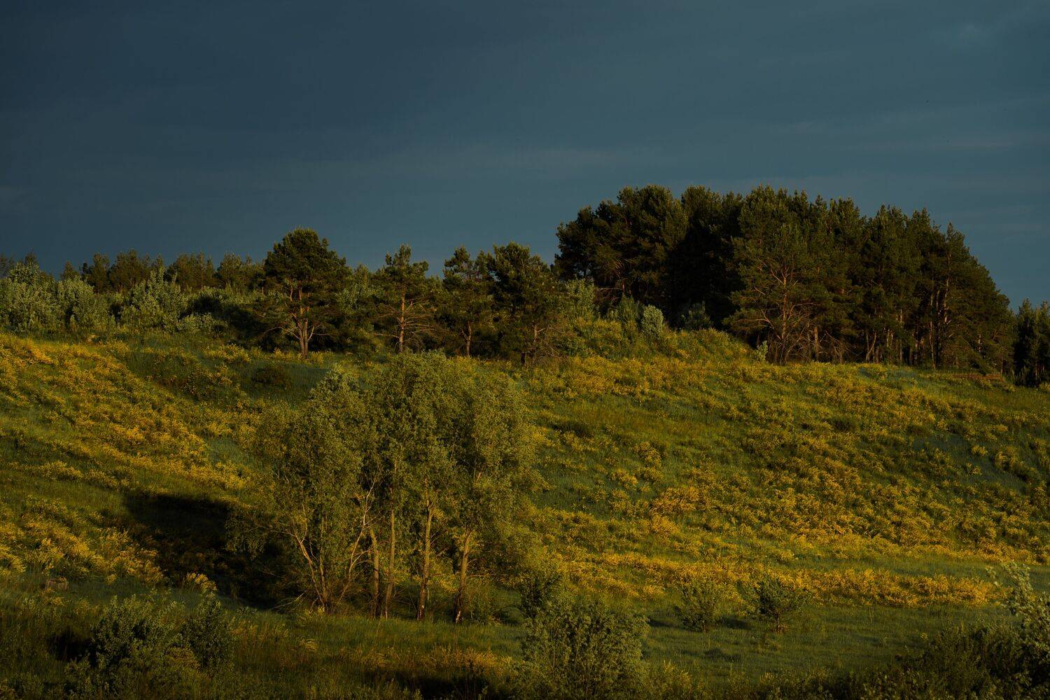 , Семенко Александр