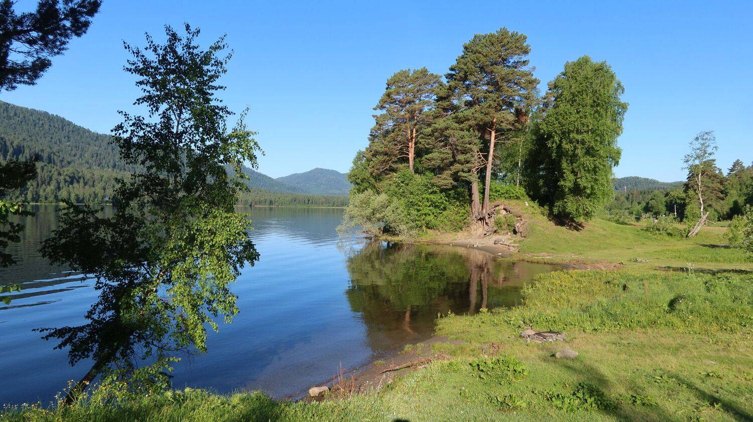 природа,алтай.озеротелецкое, Козлова Галина