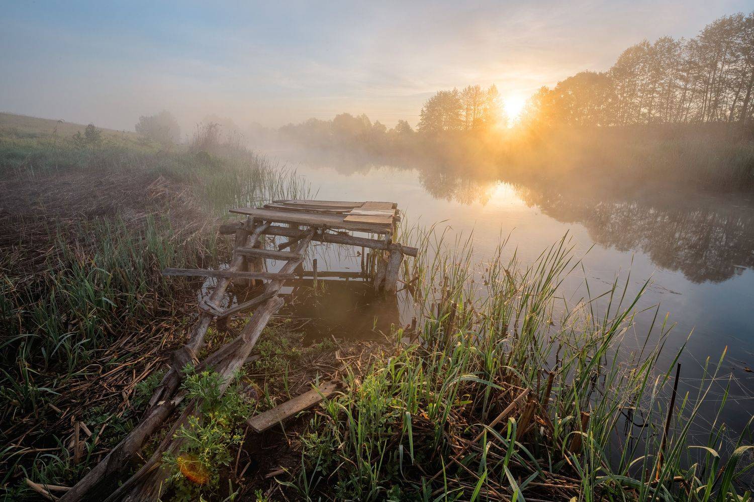 , Александр Бредихин