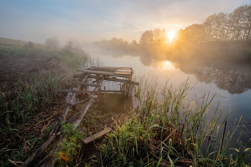 лучами опаленный фото превью