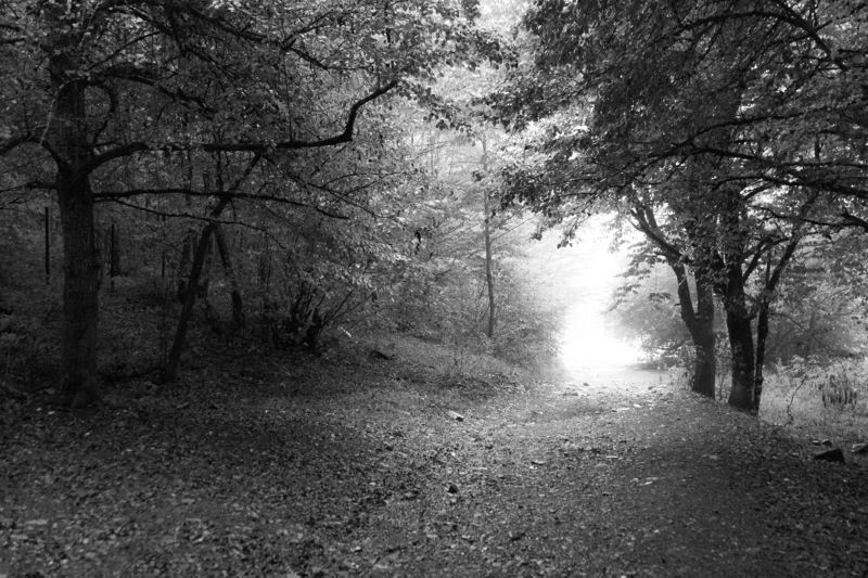 После дождя фото превью