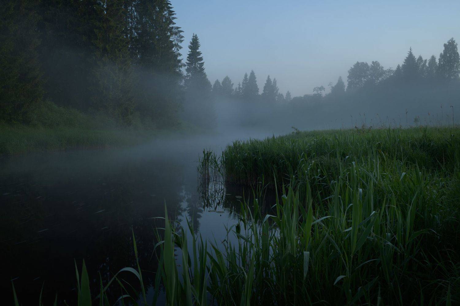 ленинградская область,, Роман Фабричный