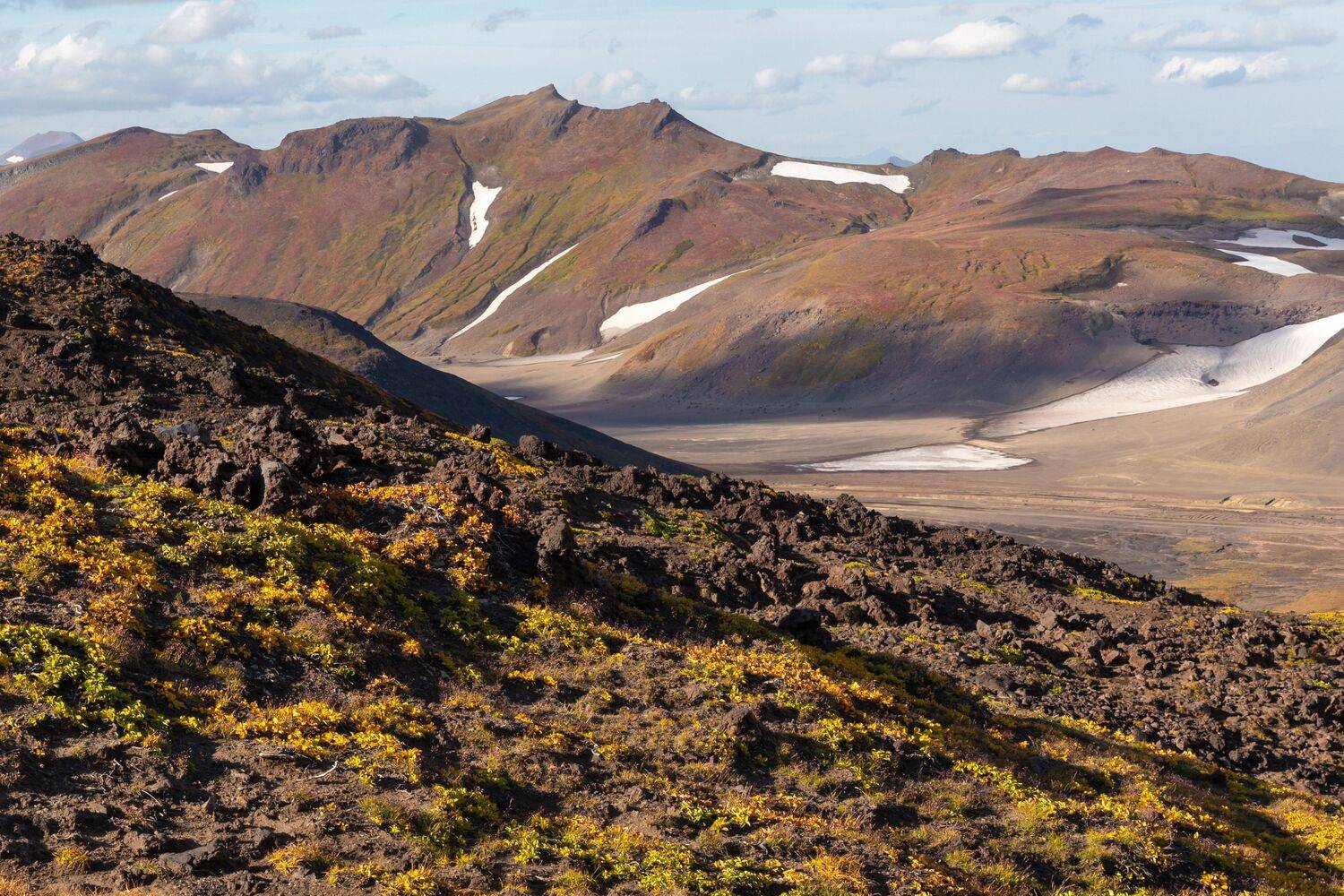 , Евгения Чех