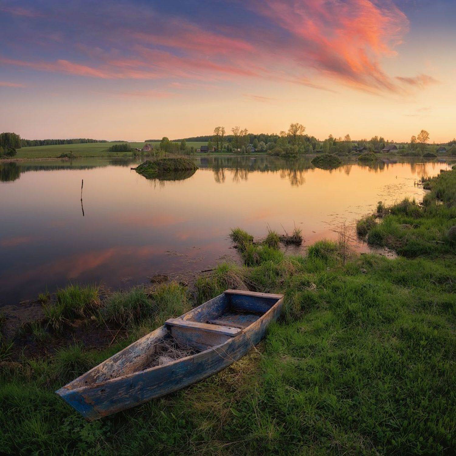 , Дмитрий Медянцев