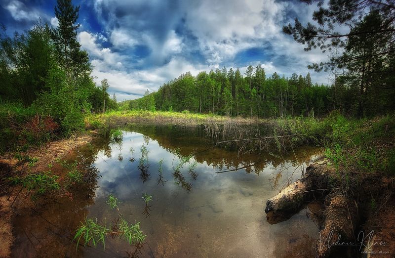 Таёжное Забайкальское... фото превью