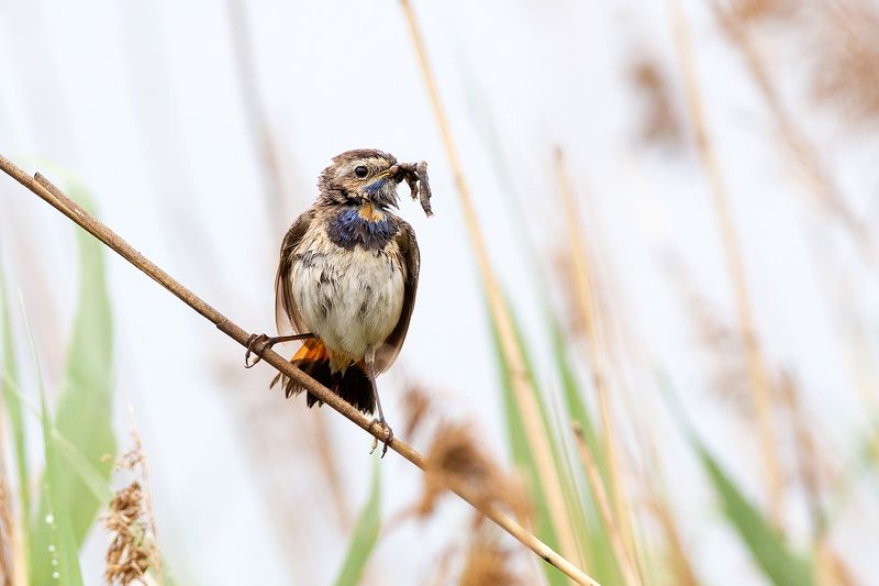 после дождя фото превью