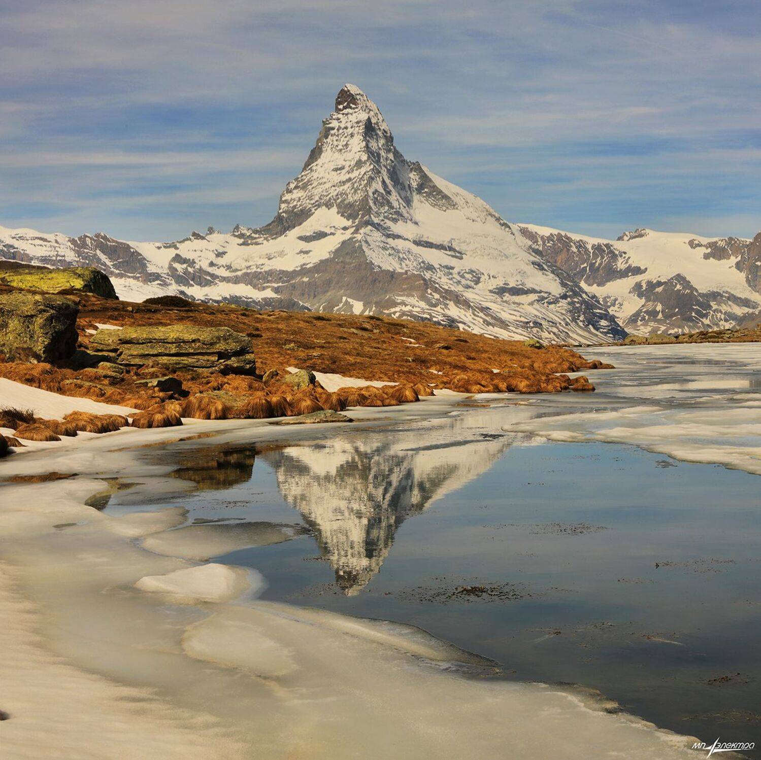 swiss, Матвеев Николай