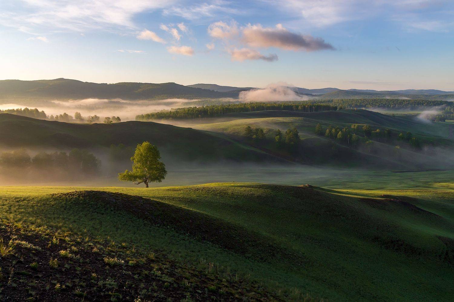 , Леонид Максименко