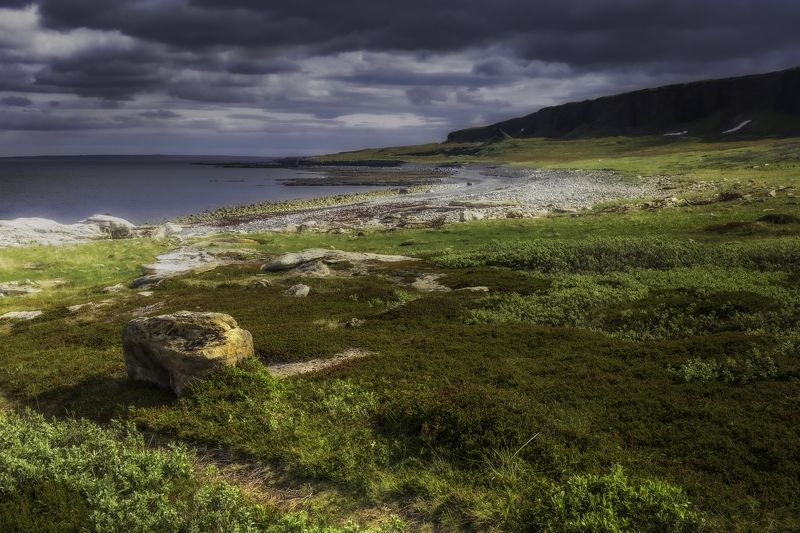 Заполярье Лето в Заполярье фото превью