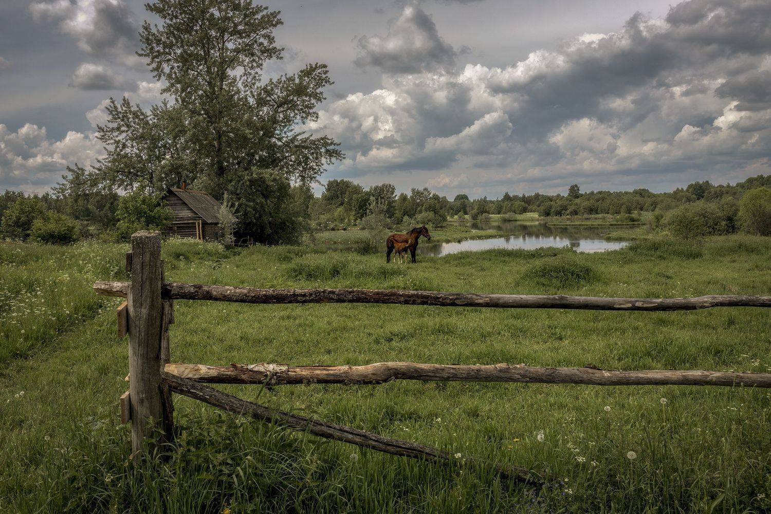 Тверская область, Гусева Елена