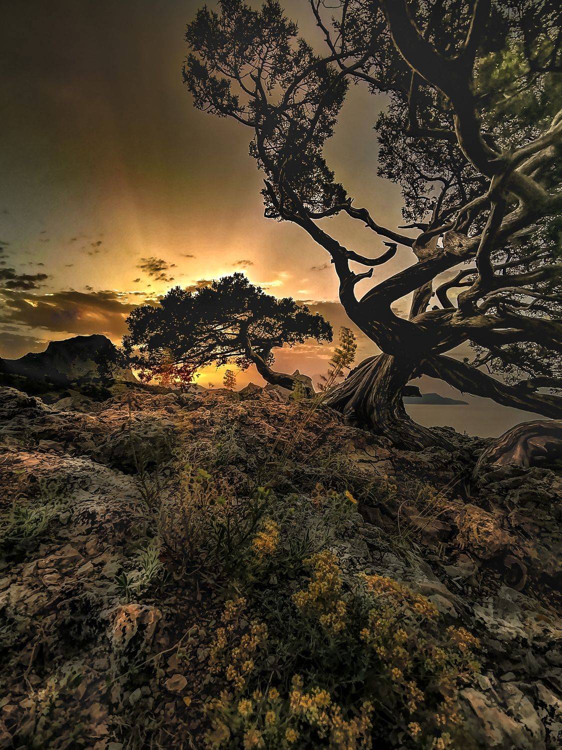 Крым Новый Свет Пейзаж, Александр Разумов