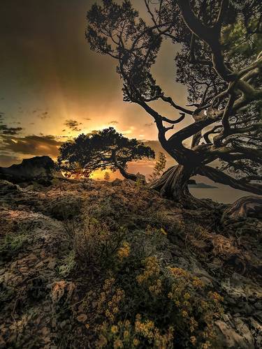 Волшебство восхода 