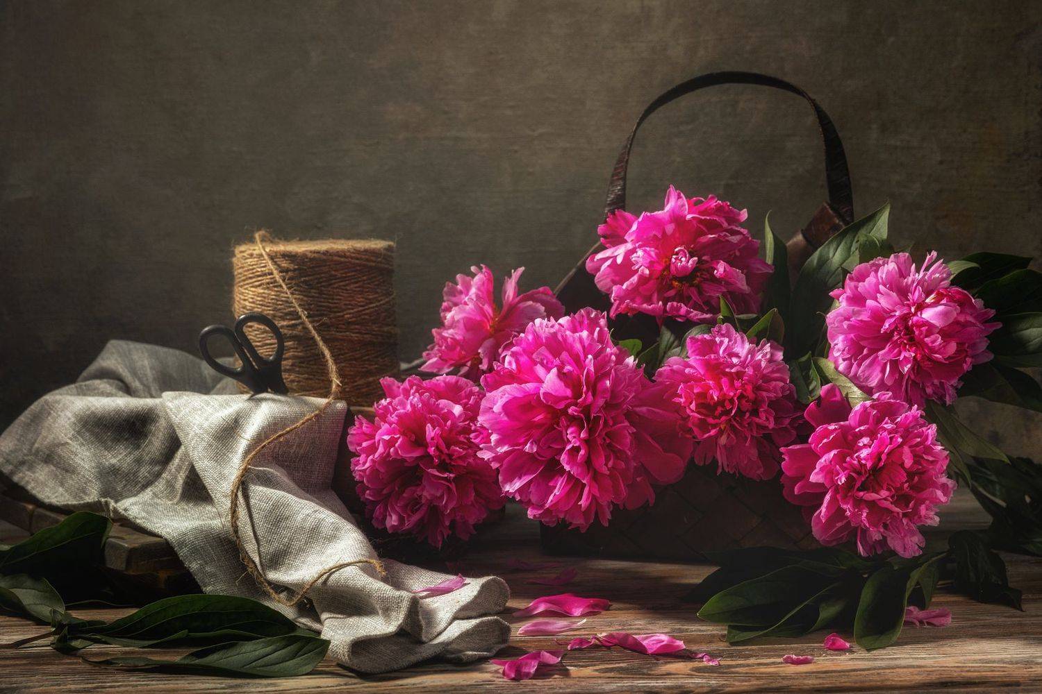 , Дмитрий Герц