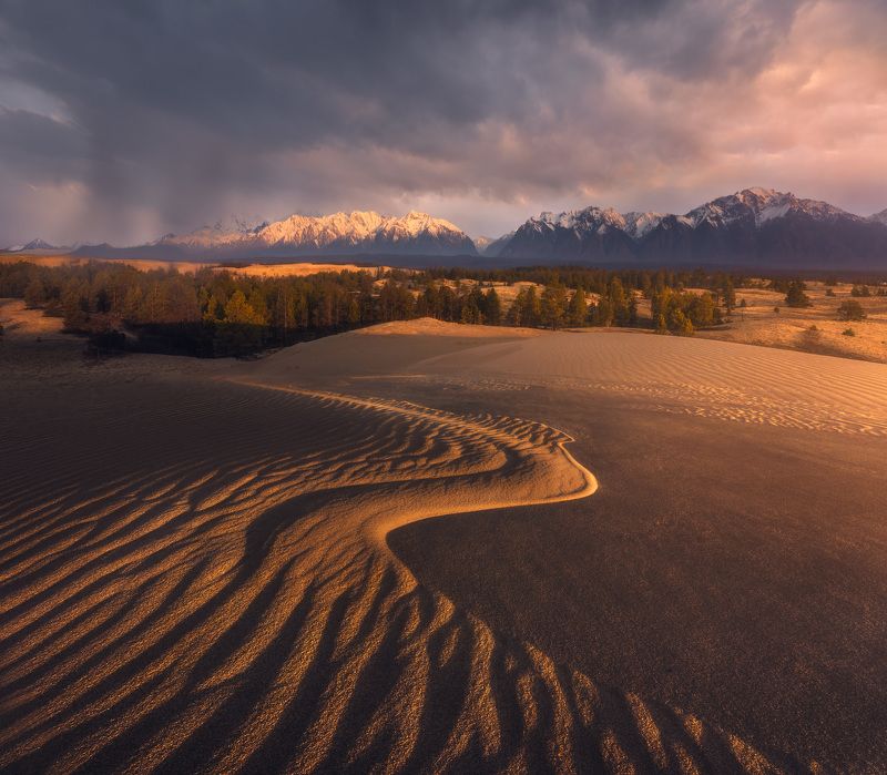 забайкалье, чара, пустыня, чарская пустыня, бархан, дюна, закат Рассвет в песках. Чарская пустыня. фото превью
