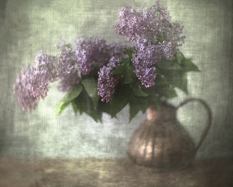 В сиреневой дымке тумана... фото превью