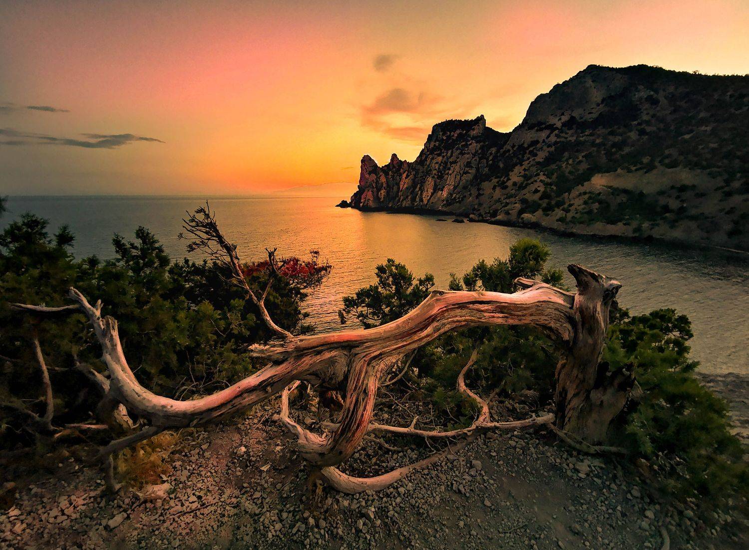 крым, новый свет, пейзаж, море, Александр Разумов