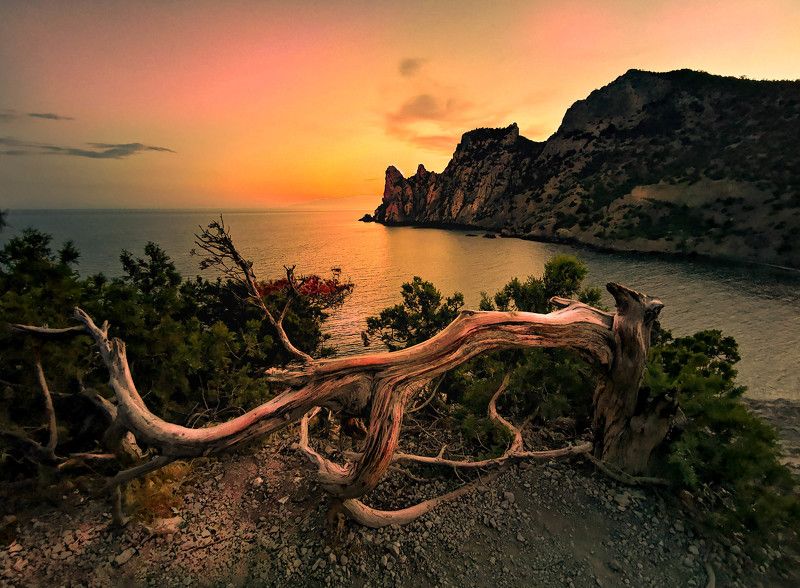 Рай в Новом Свете фото превью