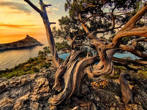 природа- великий художник