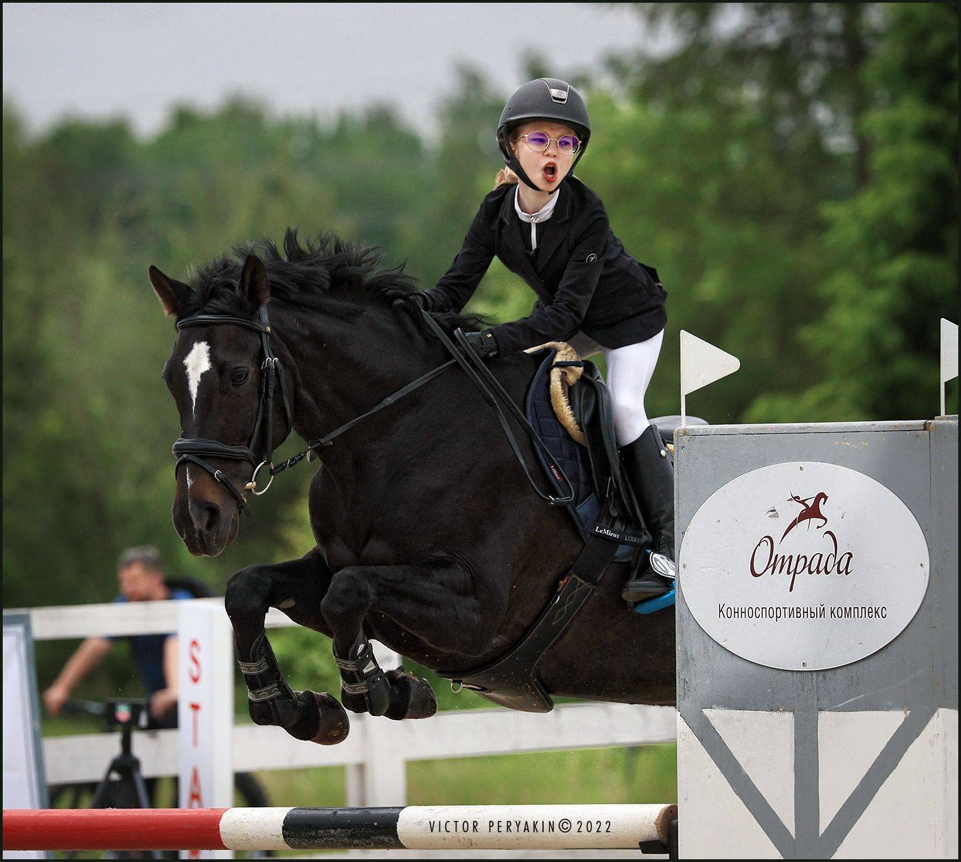 , Виктор Перякин