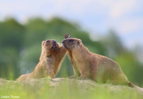 Фотограф, быстрей снимай!