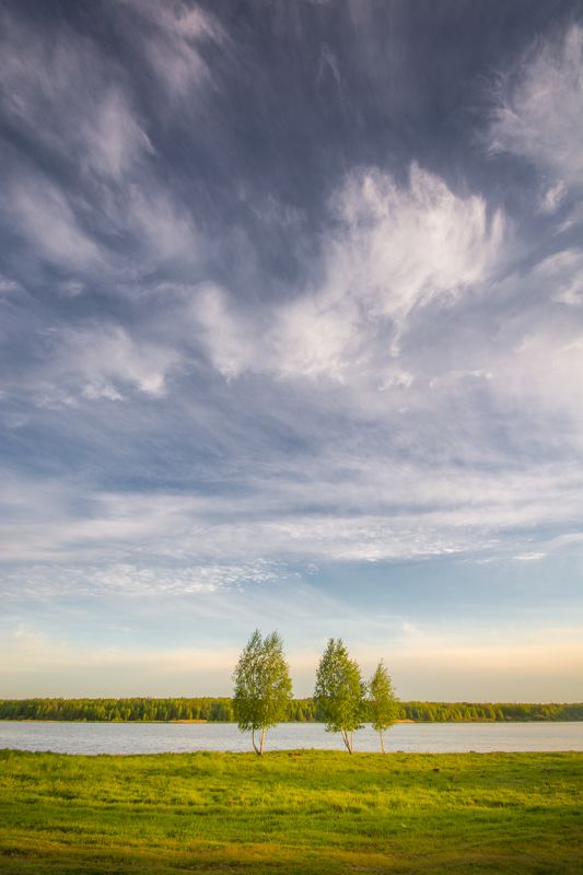 облака лето небо пейзаж Растрепало ветром облака фото превью