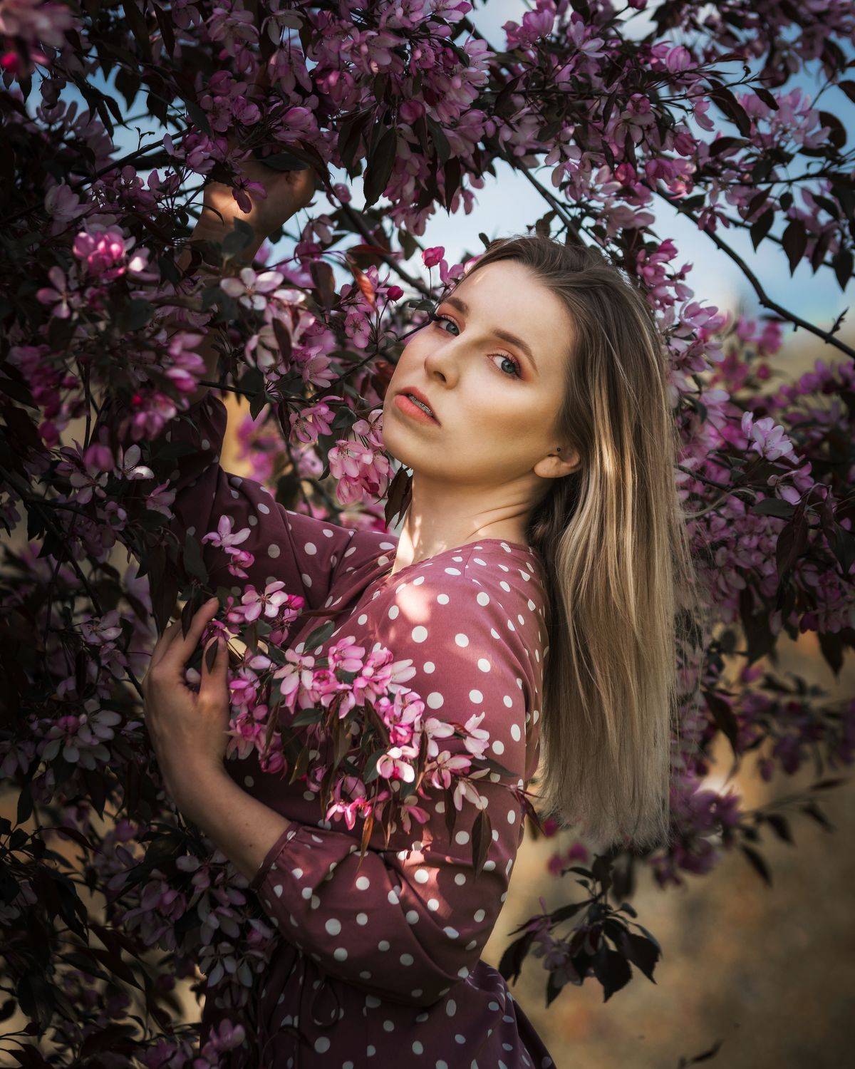 , Maciej Werbliński