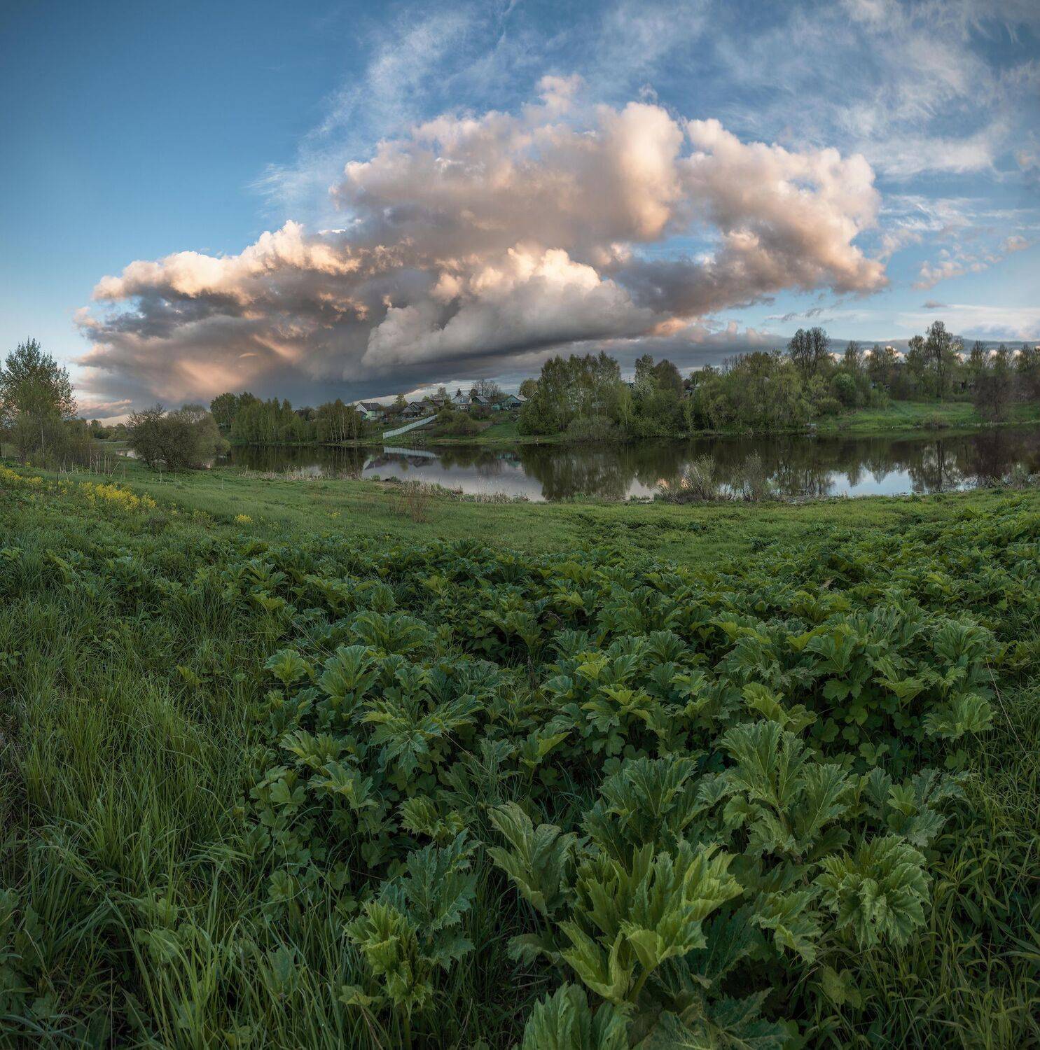, Константин Дэм