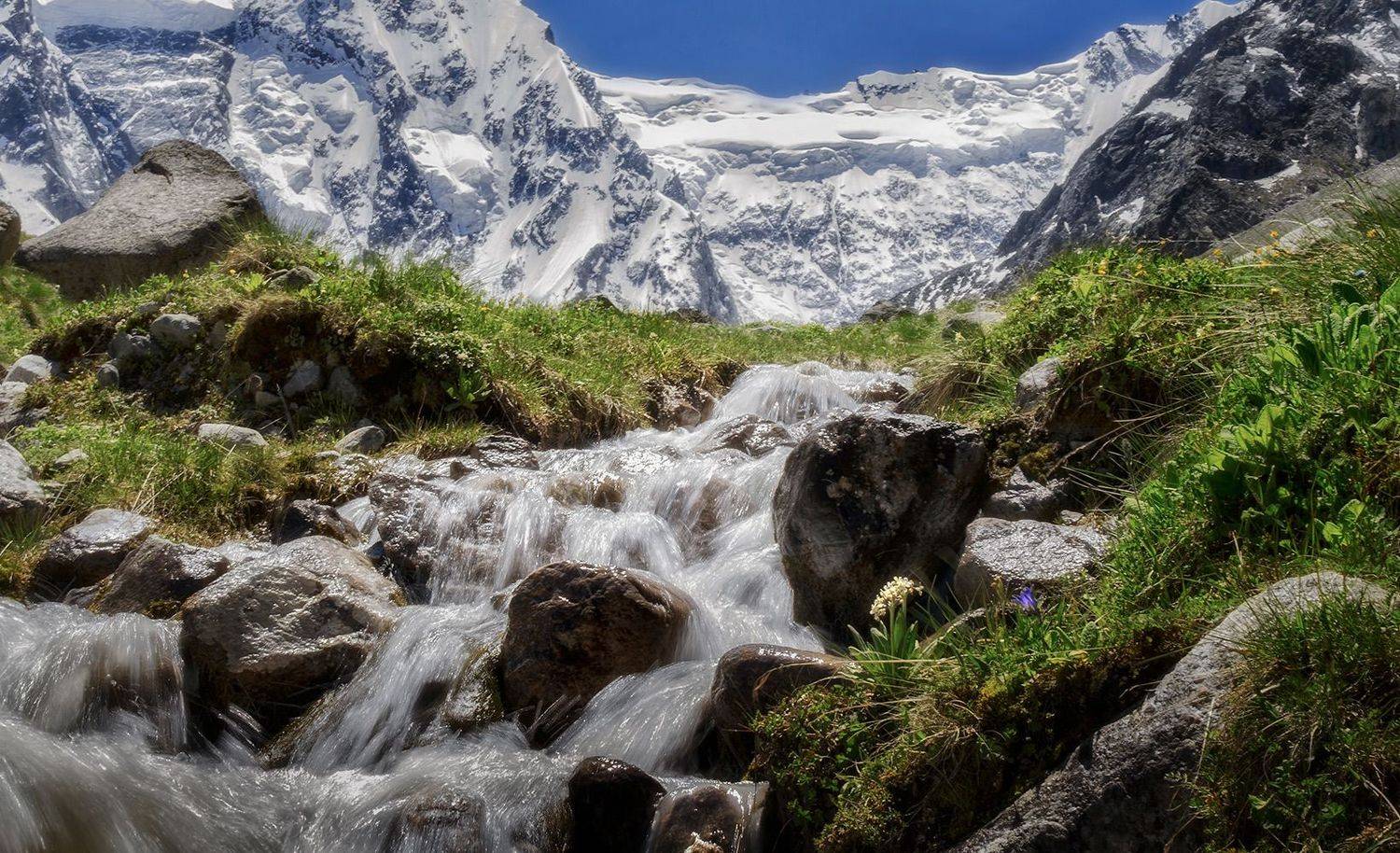 , Геннадий Чеботарев