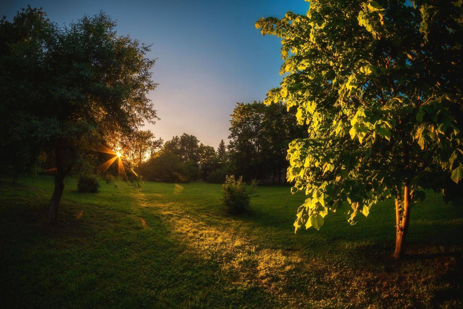 , Котов Андрей