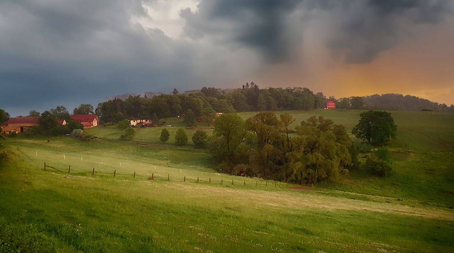 , Игорь Дубровский